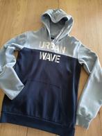 Hoodie, maat 176, Kinderen en Baby's, Kinderkleding | Maat 176, Trui of Vest, Ophalen of Verzenden, Zo goed als nieuw, Jongen
