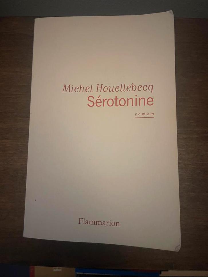 Michel Houellebecq - 9782081471757, Boeken, Literatuur, Zo goed als nieuw, Ophalen of Verzenden