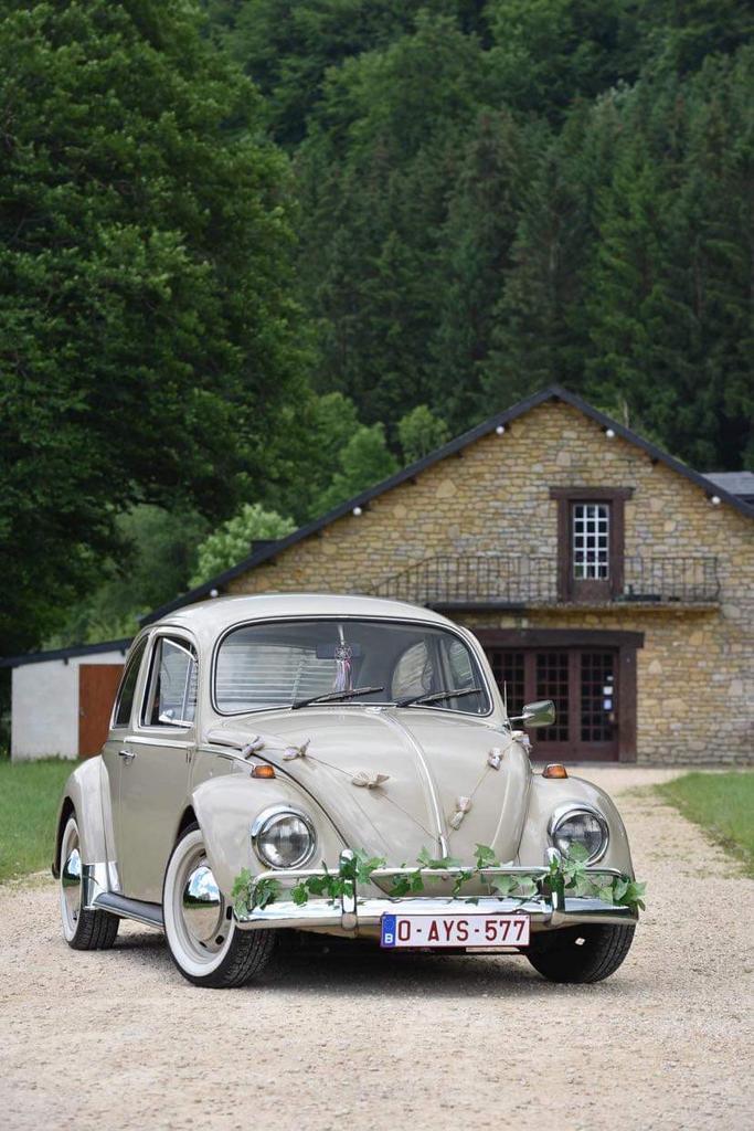 Cox de 1968, Autos, Oldtimers & Ancêtres, Particulier, Radio, Volkswagen, Essence, Autre carrosserie, 2 portes, Boîte manuelle