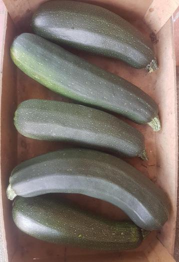 bio courgettes beschikbaar voor biedingen