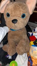 Grote hond, Ophalen, Zo goed als nieuw, Hond