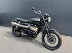 Triumph - SCRAMBLER 900, Motoren, 2 cilinders, Sportuitlaat, Motorrijbewijs A, Bedrijf