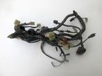 Kawasaki ZX10 kabelboom ZX 10 draadboom bedrading kabel boom, Gebruikt