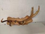 Bois de cerf, Collections, Collections Animaux, Enlèvement, Comme neuf, Cerf