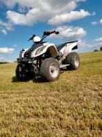 Kymco mxu 50 (met papieren), Motoren, Quads en Trikes