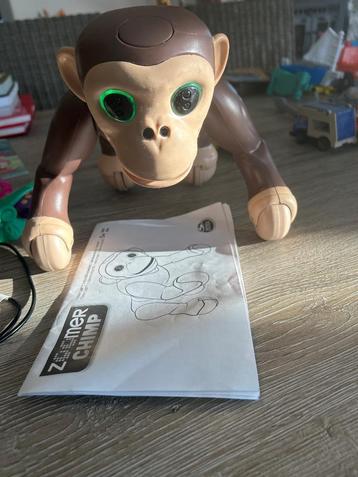 Zoomer chimp beschikbaar voor biedingen