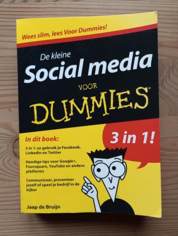 Jaap de Bruijn - De kleine social media voor Dummies