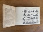 Een elementaire samenvatting van Natural History uit 1895 vo, Ophalen