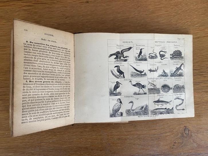 Een elementaire samenvatting van Natural History uit 1895 vo, Antiek en Kunst, Antiek | Boeken en Manuscripten, Ophalen