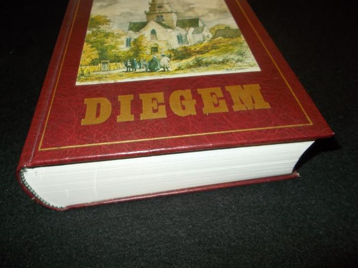 BOEK - GESCHIEDENIS VAN DIEGEM - 1980 - 864blz, Boeken, Geschiedenis | Stad en Regio, Zo goed als nieuw, 19e eeuw, Ophalen