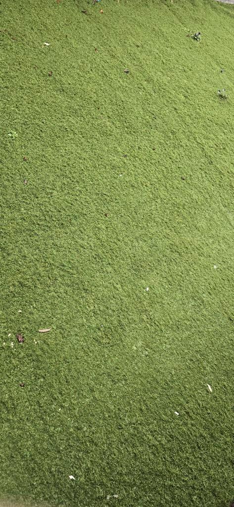 Gratis kunstgras., Tuin en Terras, Gras en Kunstgras, Kunstgras, Ophalen