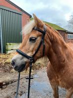 Bitloos hoofdstel, Dieren en Toebehoren, Paarden en Pony's | Hoofdstellen en Tuigage, Ophalen of Verzenden, Zo goed als nieuw