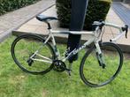 Racefiets GIANT OCR Campagnolo maat 53, Fietsen en Brommers, Fietsen | Racefietsen, Ophalen, Heren, Giant, Zo goed als nieuw