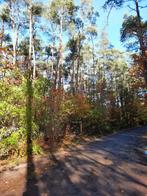 TE KOOP RECREATIEGROND VAN 3.845M2, Immo, Gronden en Bouwgronden