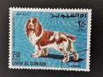 Umm-al-Qiwain 1967 - chiens - Cocker Spaniel, Enlèvement ou Envoi, Affranchi, Moyen-Orient