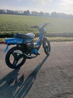 Honda wallaroo (KAN OOK GERUILD WORDEN ), Enlèvement