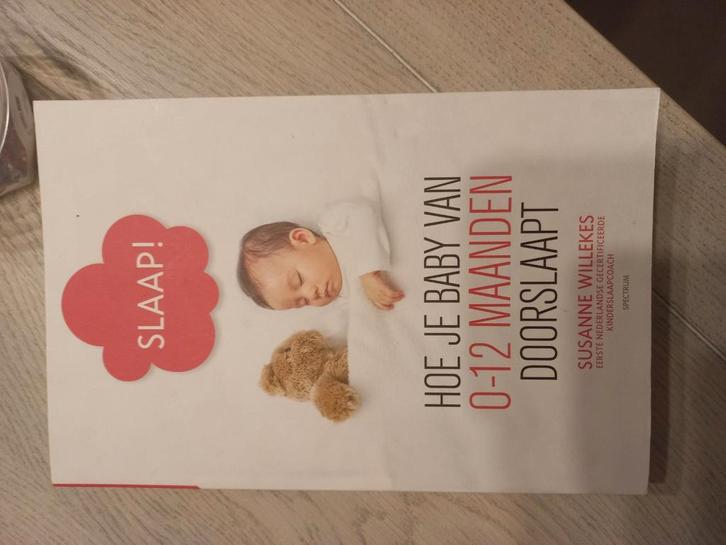 Susanne Willekes - Slaap!, Boeken, Zwangerschap en Opvoeding, Nieuw, Ophalen of Verzenden