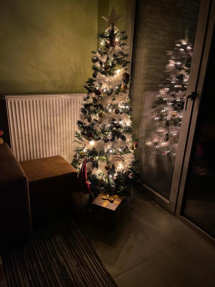 Kerstboom (zonder decoraties uiteraard), Diversen, Kerst, Zo goed als nieuw, Ophalen