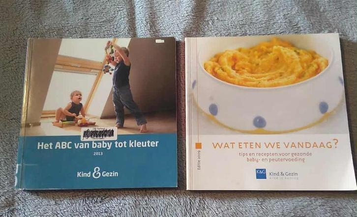 kind en gezin boeken, Boeken, Zwangerschap en Opvoeding, Ophalen of Verzenden