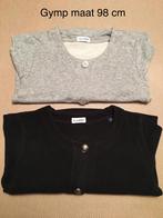 2 meisjes truien Gymp maat 98 cm, Ophalen of Verzenden, Zo goed als nieuw