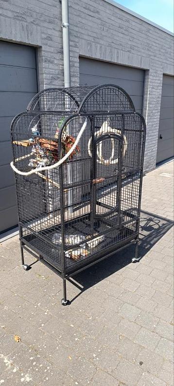 Grote papegaaien kooi + dure uv lampset + speeltjes  beschikbaar voor biedingen