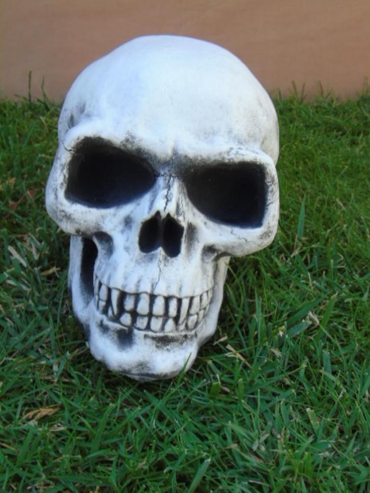 Een menselijke schedel gemaakt van gepatineerde steen, Tuin en Terras, Tuinbeelden, Nieuw, Overige typen, Steen, Ophalen