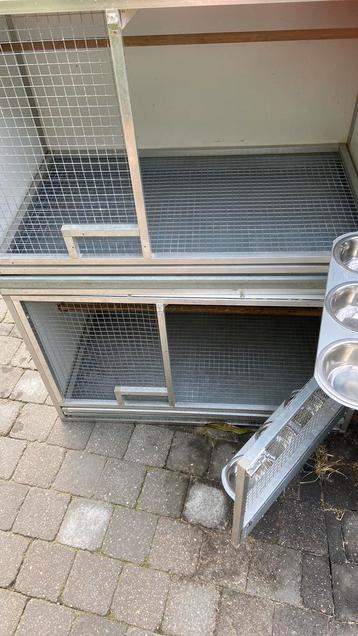 Kweek kooien beschikbaar voor biedingen