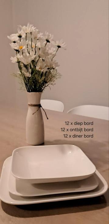 Bordenset 36-delig (12 personen) + extra kommen  beschikbaar voor biedingen