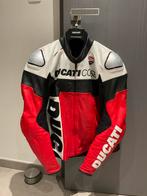 Veste Ducati, taille 50, Motoren