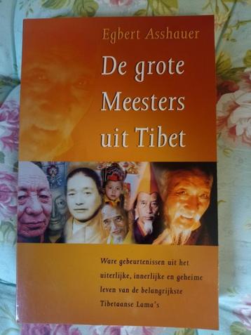 de grote meesters uit tibet