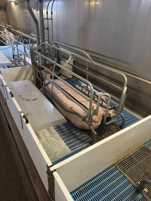 Kraamhokken veldman [431], Dieren en Toebehoren, Schapen, Geiten en Varkens