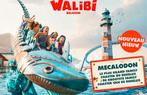 2 entrées pour walibi
