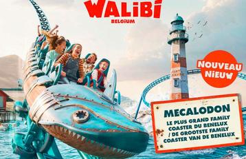 2 entrées pour walibi, Tickets & Billets