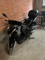 Honda SH125, 12 à 35 kW, Scooter, Particulier, 125 cm³