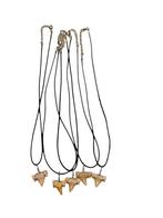 Collier en dents de requin Fossils. Taille 60 cm, Enlèvement ou Envoi, Fossile