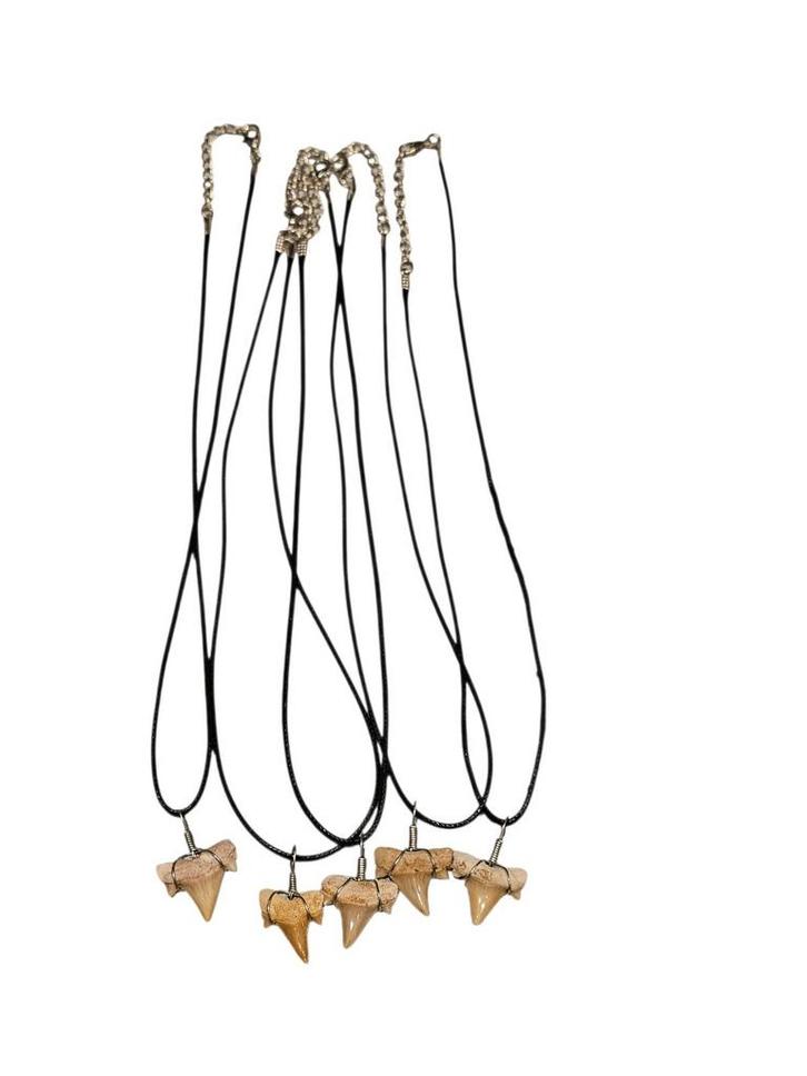 Collier en dents de requin Fossils. Taille 60 cm, Collections, Minéraux & Fossiles, Fossile, Enlèvement ou Envoi