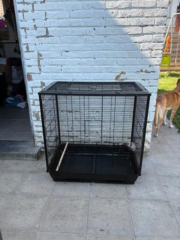 Vogelkooi beschikbaar voor biedingen