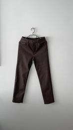MASSIMO DUTTI bruine broek nieuw M, Kleding | Dames, Massimo Dutti, Ophalen of Verzenden, Nieuw, Bruin