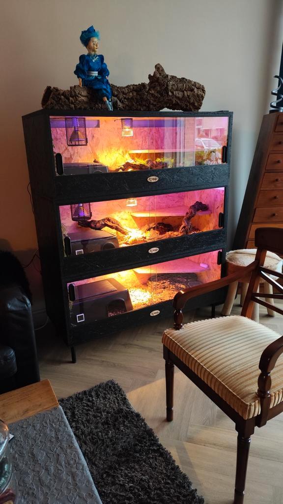 Osb3 terrarium RepHouSZ. Ook maatwerk, Dieren en Toebehoren, Reptielen en Amfibieën | Toebehoren, Nieuw, Terrarium of Paludarium