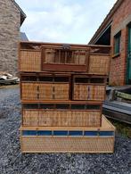 Duivenmand, Dieren en Toebehoren