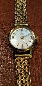 EBEL dameshorloge in 18K (750) massief goud, Goud, Goud