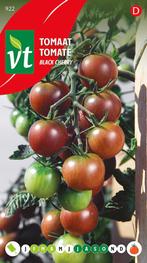 Tomatenplantjes, Jardin & Terrasse, Plantes | Jardin, Annuelle, Enlèvement, Plantes potagères