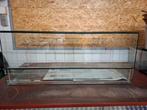 VANDAAG OPHALEN groot terrarium 120 cm, Dieren en Toebehoren, Ophalen, Gebruikt, Terrarium of Paludarium