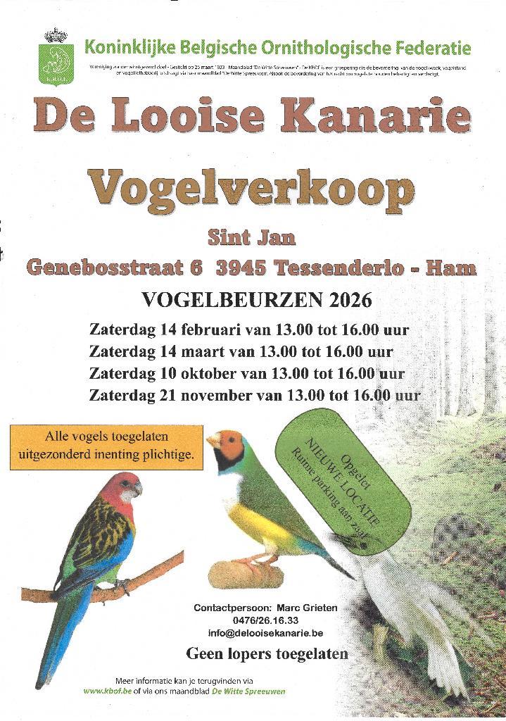 Diverse exoten, Animaux & Accessoires, Oiseaux | Oiseaux Autre, Oiseau tropical, Plusieurs animaux, Bagué