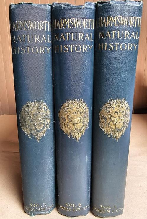 Harmsworth Natural History 1910 (3 volumes), Livres, Encyclopédies, Utilisé, Série complète, Animaux, Enlèvement ou Envoi