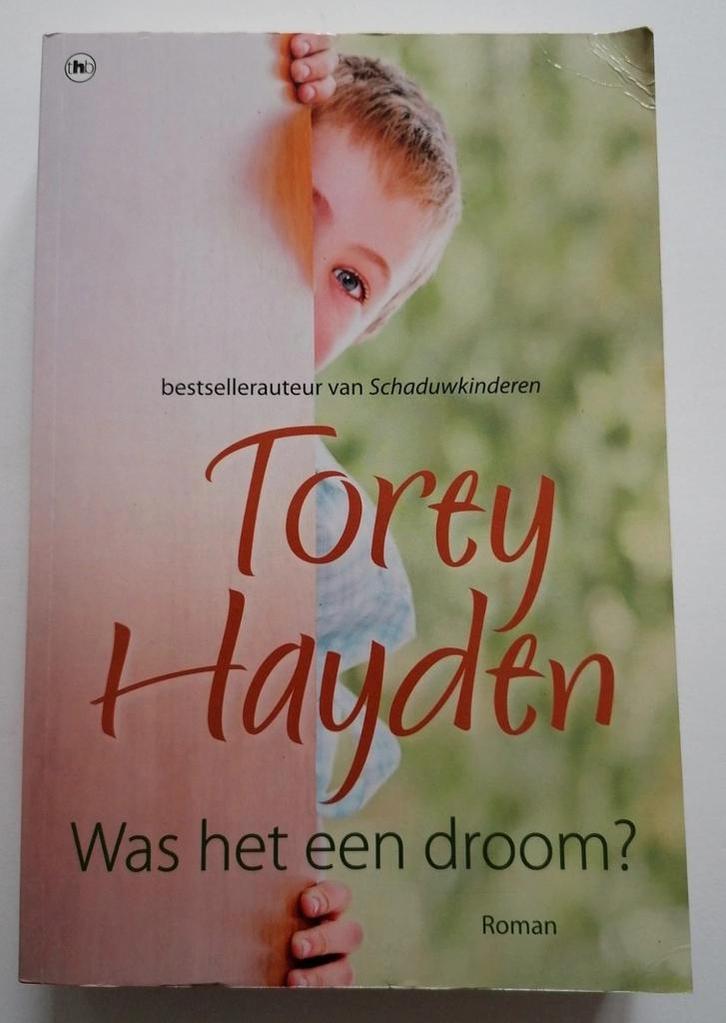 T. Hayden - Was het een droom?, Boeken, Literatuur, Zo goed als nieuw, Ophalen of Verzenden