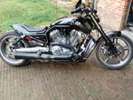Harley davidson  vrod muscle, Motoren, Chopper, Particulier, Meer dan 35 kW