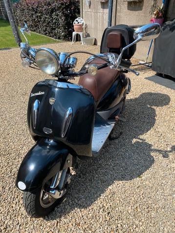Neco borsalino 125cc, Scooter, 125 cm³, Permis Moto A1 minimum, Particulier