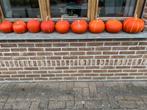 pompoenen, en sierfruit, Ophalen, Zo goed als nieuw