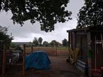 Stalling en weidegang aan huis, Dieren en Toebehoren, Stalling en Weidegang, Weidegang